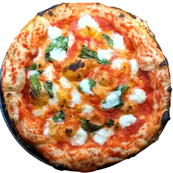 Buffalina Buffalina